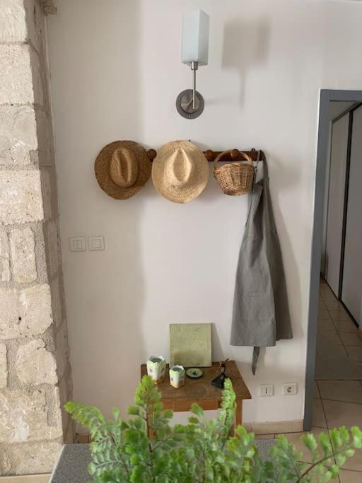 Le Provencal - Hyper Centre - Wifi Apartman Avignon Kültér fotó